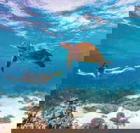 Coral Bay - Goulburn Accommodation