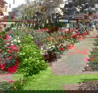 Cowra Rose Garden - Goulburn Accommodation