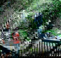 Curtis Falls track Tamborine National Park - Goulburn Accommodation