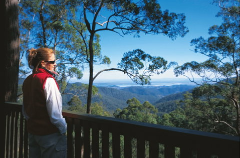 D'Aguilar National Park - Goulburn Accommodation 0