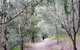D'Aguilar National Park - thumb 2