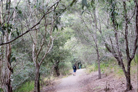 D'Aguilar National Park - Goulburn Accommodation 2