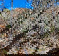 Eualdrie Walking Track - Goulburn Accommodation