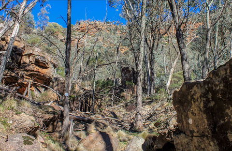 Eualdrie Walking Track - Goulburn Accommodation 0