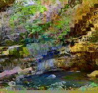 Glimpse of the Outback 5 Day Tour - Roma and Surrounds - Goulburn Accommodation