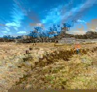 Goldseekers track - Goulburn Accommodation