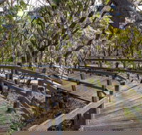 Governor Summit Corrunbral Borawah Walking Track - Goulburn Accommodation