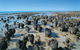 Hamelin Pool Stromatolites - thumb 2