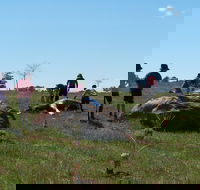 Jim Salmon  Wetland Education Site - Goulburn Accommodation