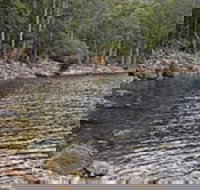 Lake Rowallan - Goulburn Accommodation