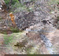 Mill-bullah Walking Track - Goulburn Accommodation