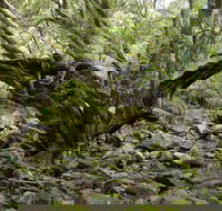 Mitchell River Walking Track - Goulburn Accommodation