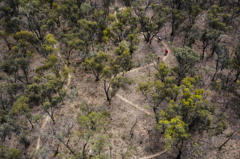 Mountain Bike Trails Deniliquin - Goulburn Accommodation 1