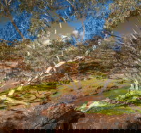 Mount Grenfell Historic Site - Goulburn Accommodation