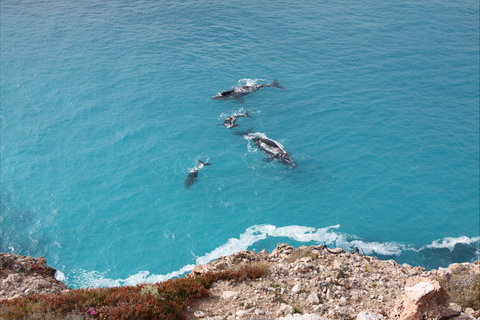 Nullarbor National Park - Goulburn Accommodation 0