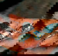 Opalton - Goulburn Accommodation