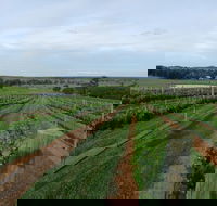 Razorback Cawdor Camden Park - Goulburn Accommodation