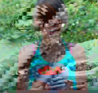 Ricardoes Tomatoes and Strawberries Farm Port Macquarie - Goulburn Accommodation