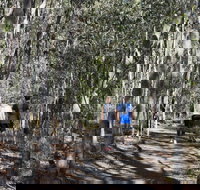 Six Mile Creek Bluff Lookout and Little White Rock Trails - Goulburn Accommodation