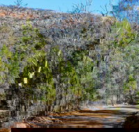 Weddin Gap to Black Spring Loop Trail - Goulburn Accommodation