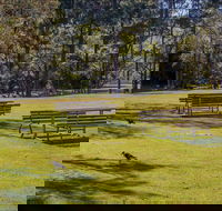 Wombeyan picnic area - Goulburn Accommodation