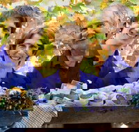 Bella Lavender Estate - Goulburn Accommodation