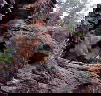 Bertha's Gully Walking Track - Goulburn Accommodation