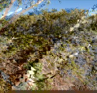 Boonoo Boonoo Falls picnic area - Goulburn Accommodation