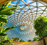 Brisbane Botanic Gardens Mount Coot-tha - Goulburn Accommodation