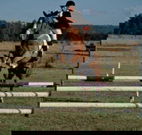 Camden Bicentennial Equestrian Park - Goulburn Accommodation