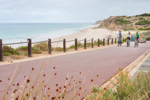 Coast To Vines Rail Trail - Goulburn Accommodation 0