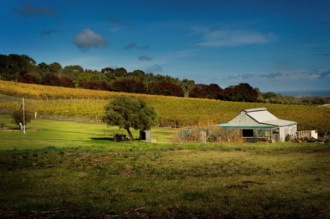 Coast To Vines Rail Trail - Goulburn Accommodation 2
