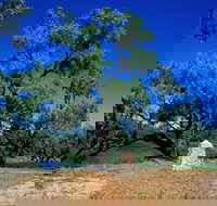 Comet - Goulburn Accommodation