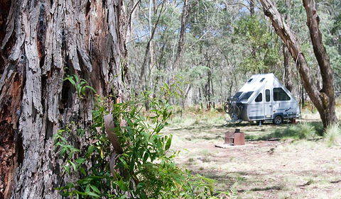 Coolah Tops National Park - Goulburn Accommodation 2