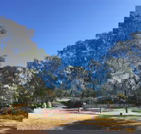 Grenfell Endemic Garden - Goulburn Accommodation