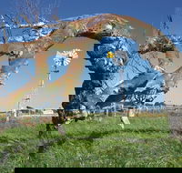 Greenough Leaning Trees - Goulburn Accommodation