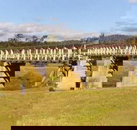 Historic Tabulam DeBurgh Timber Bridge - Goulburn Accommodation