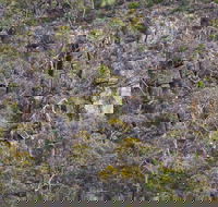 Horsnell Gully and Giles Conservation Parks - Goulburn Accommodation