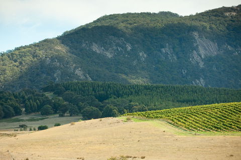 Langi Ghiran State Park - Goulburn Accommodation 0