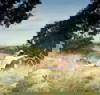 Lysterfield Park - Goulburn Accommodation