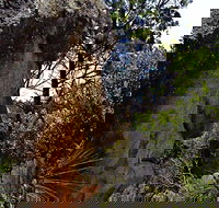 Mystery Face Walking Track - Goulburn Accommodation