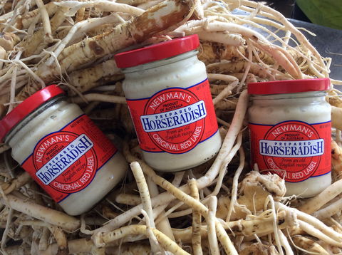 Newman's Horseradish Farm And Rusticana Wines - Goulburn Accommodation 0