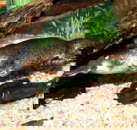 Platypus House - Goulburn Accommodation