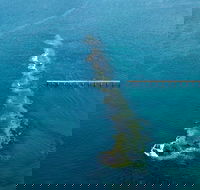 Port Noarlunga Reef Sanctuary Zone - Encounter Marine Park - Goulburn Accommodation