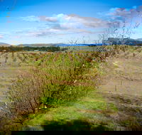 Tarago Truffles - Goulburn Accommodation