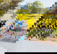 The Heron's Highway - Avon River Cycle Trail - Goulburn Accommodation