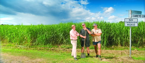 The Shed Gallery - Goulburn Accommodation 0