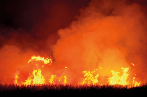 The Shed Gallery - Goulburn Accommodation 1