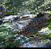 Towarri National Park - Goulburn Accommodation