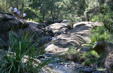 Towarri National Park - Goulburn Accommodation 0